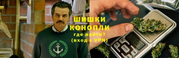 ПСИЛОЦИБИНОВЫЕ ГРИБЫ Горняк