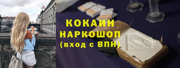 ПСИЛОЦИБИНОВЫЕ ГРИБЫ Горняк