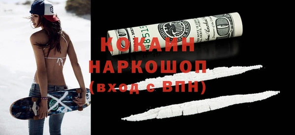 ПСИЛОЦИБИНОВЫЕ ГРИБЫ Горняк