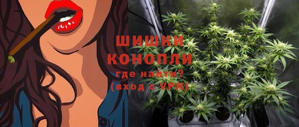 гидропоника Горнозаводск