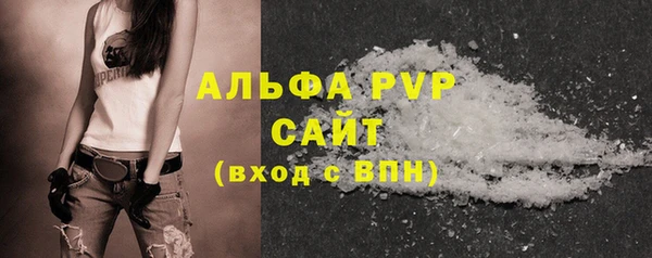 ПСИЛОЦИБИНОВЫЕ ГРИБЫ Горняк