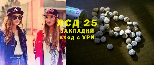 индика Вязники